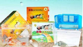 海洋生物產(chǎn)品與店鋪裝修 創(chuàng)新設計與生態(tài)美學的融合